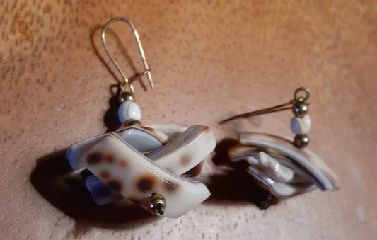 Coastal Point Shell Earrings