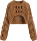 Graffiti Grit Clay Cropped Sweater